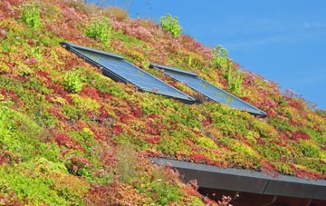 Head Of Muir living roof systems