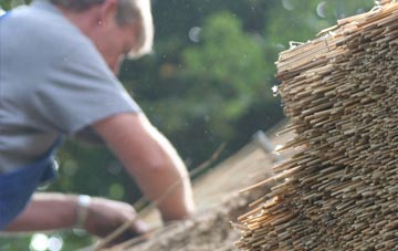 professional Head Of Muir thatchers