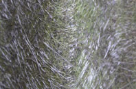 Head Of Muir fibreglass roof work